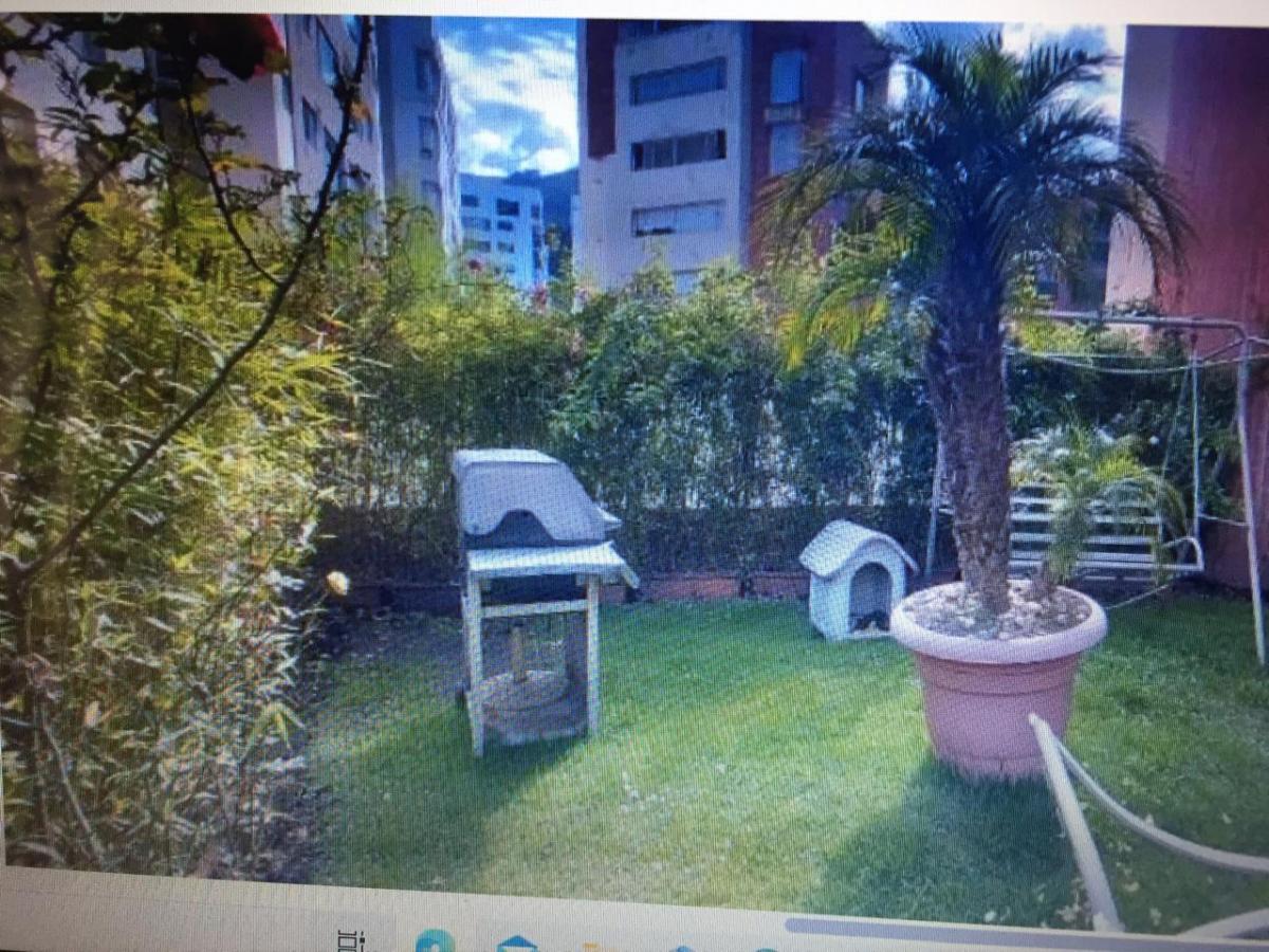 Vendo Lujoso Departamento en Conjunto Residencial Alcala Sector Quito Tenis — imagen 6