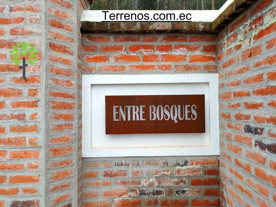 Venta de Terrenos en Cayambe Desde 2.500 m² Hasta 3.060 Entre Bosques. Provincia de Pichincha — imagen 4