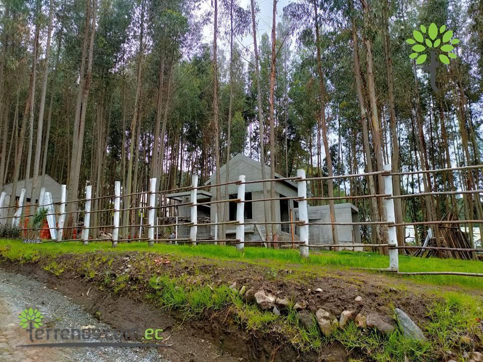 Venta de Terrenos en Cayambe Desde 2.500 m² Hasta 3.060 Entre Bosques. Provincia de Pichincha — imagen 3