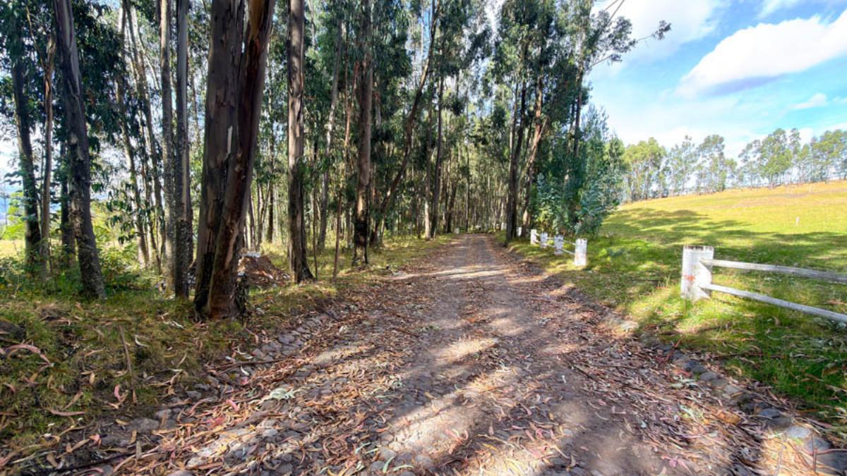 Terreno en Venta Tabacundo 6.361 m² Prados de Mojanda 1 — imagen 9