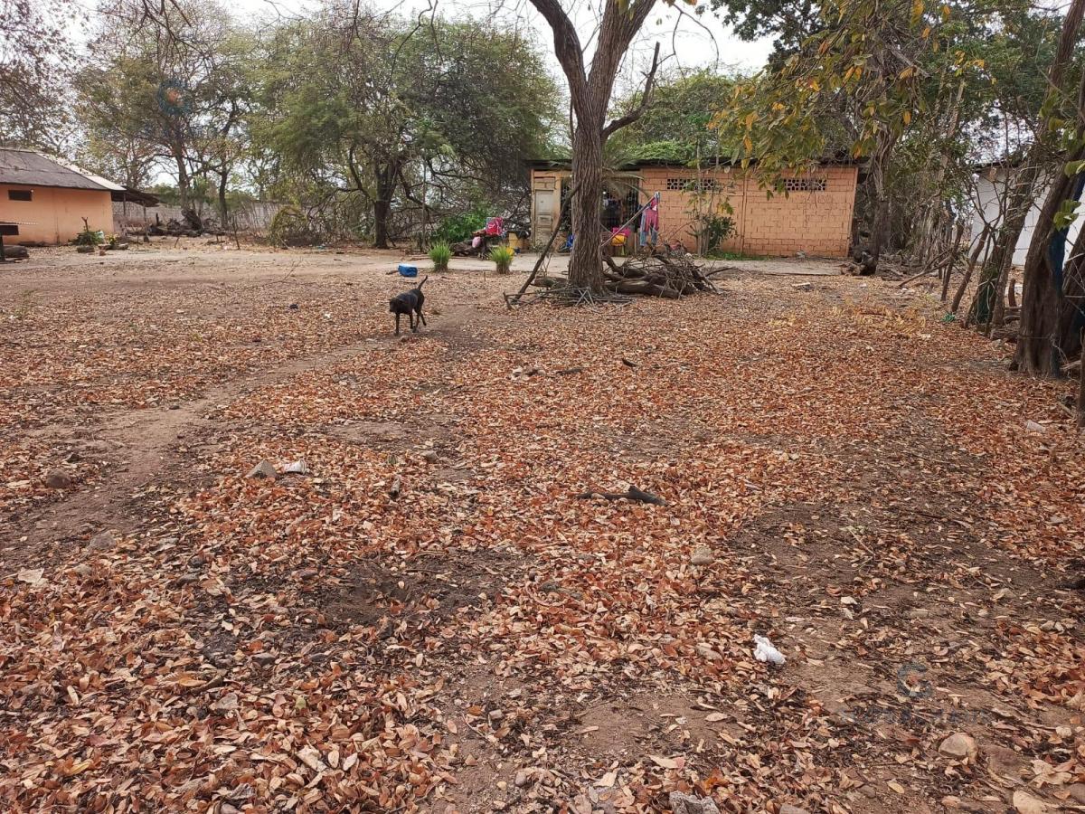 Venta de Terreno en Chongón, 5376 m² G. P, Guayas — imagen 4