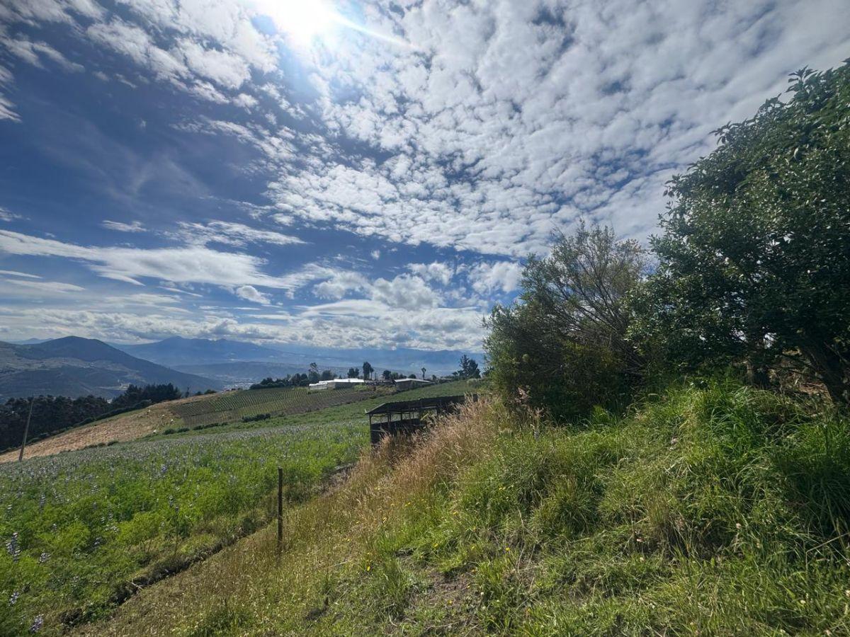 Terreno en Venta en Nono - 5 Has — imagen 2