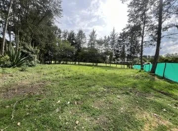 Venta Terreno en Puembo en La Urbanización Arrayanes — imagen 3