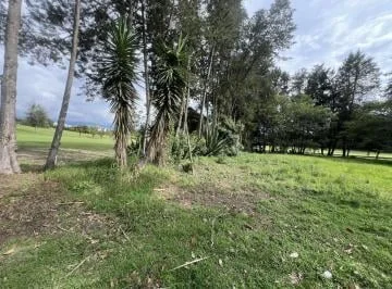 Venta Terreno en Puembo en La Urbanización Arrayanes — imagen 2