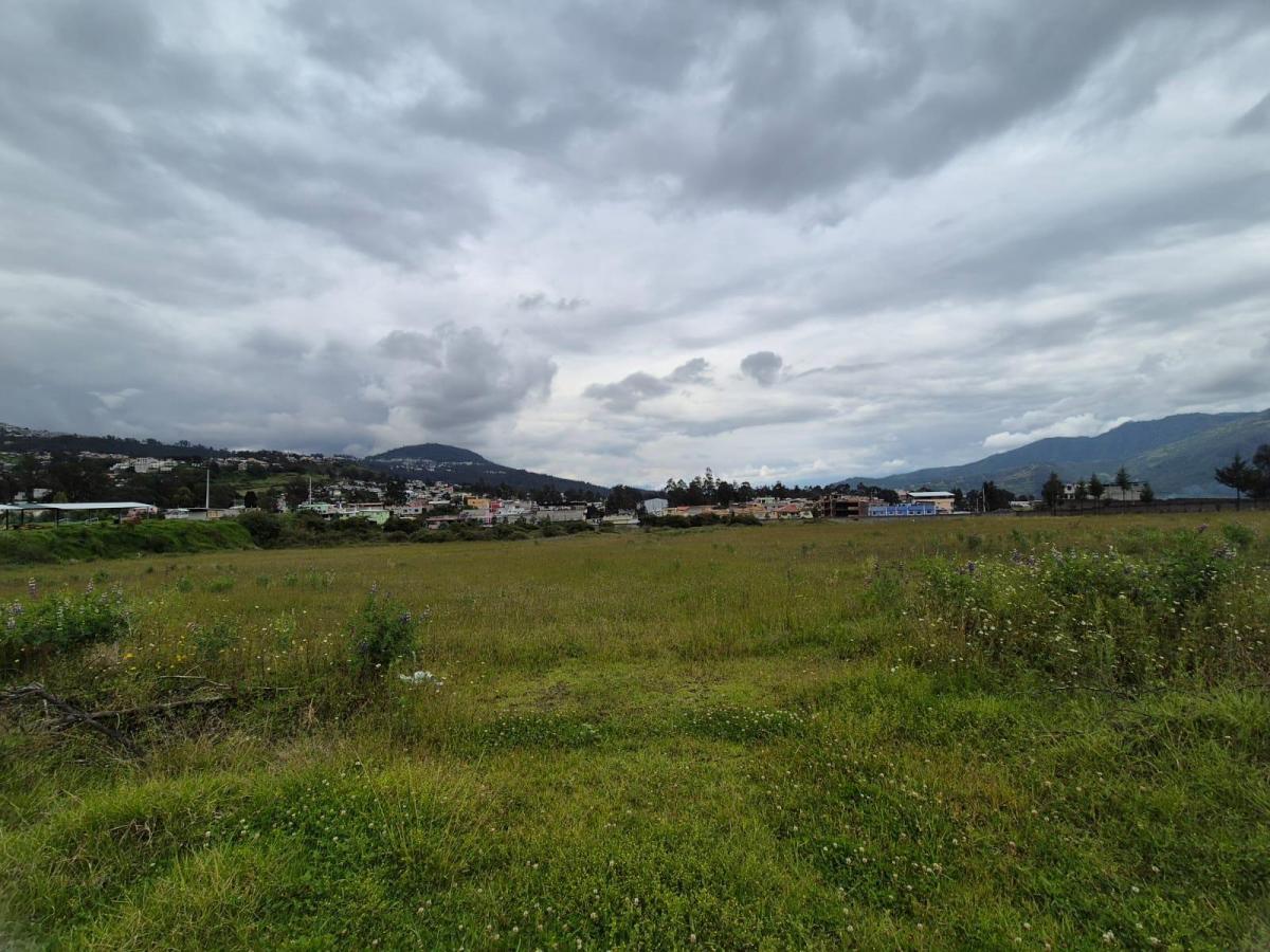 Se Vende Espectacular Terreno 20000 m² –puente 6 — imagen 2