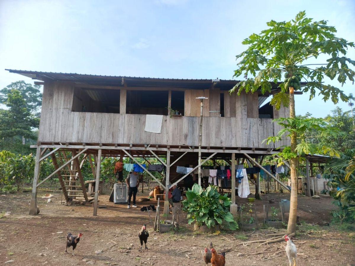 Finca Productiva de 6 Hectáreas con Cacao, Café, Vivienda y Agua Natural – Loreto, Orellana — imagen 9