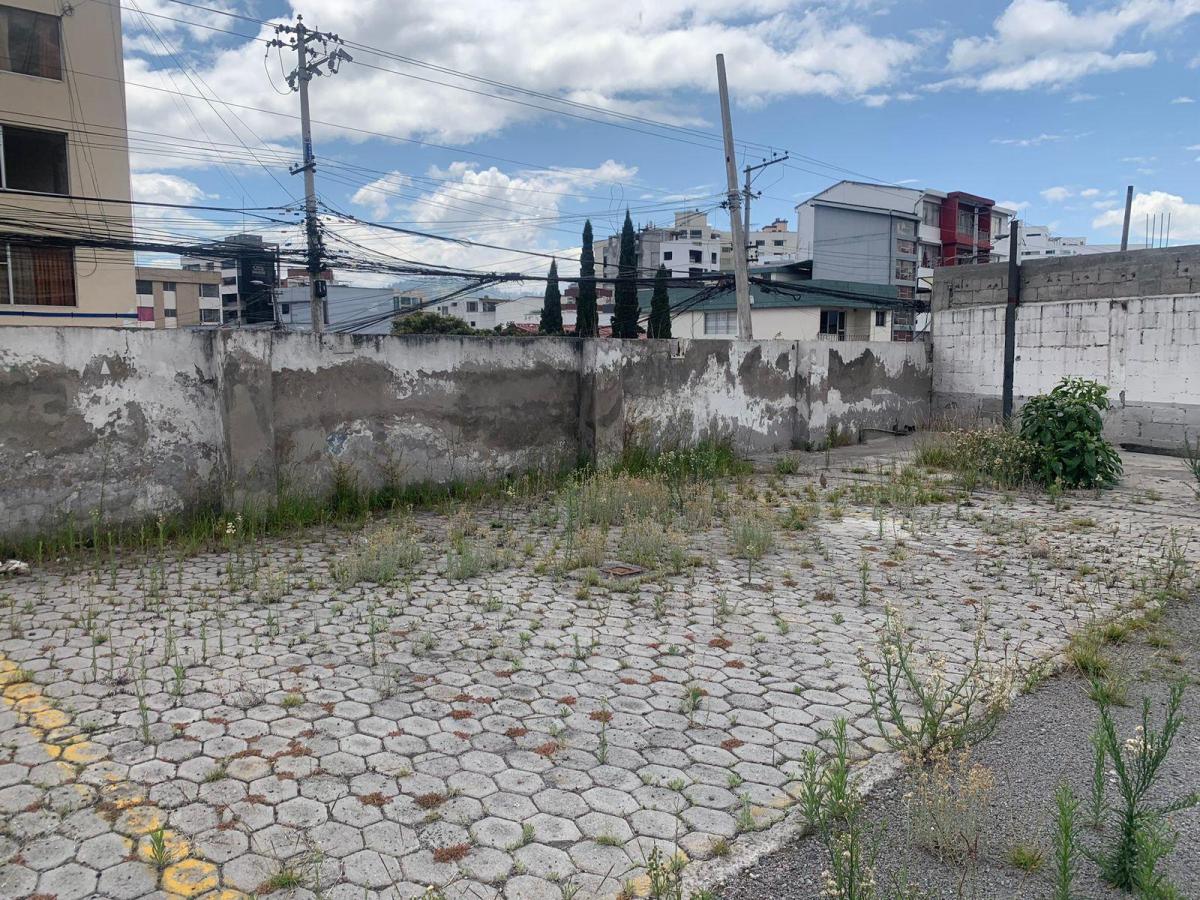 Venta Terreno Sector Mariana de Jesus. Excelente Ubicacion — imagen 2