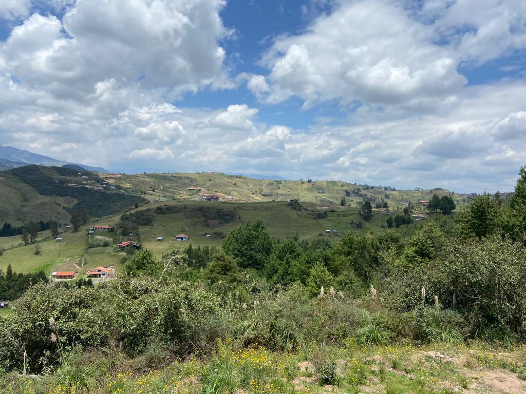 Terreno en Venta, Sector Tarqui, Zhucay, Azuay — imagen 6