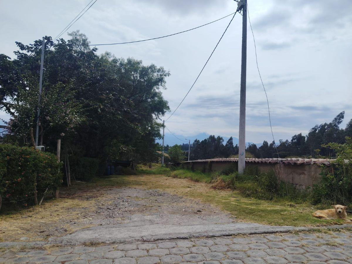 Vendo Terreno Sector Quinche - La Esperanza — imagen 5