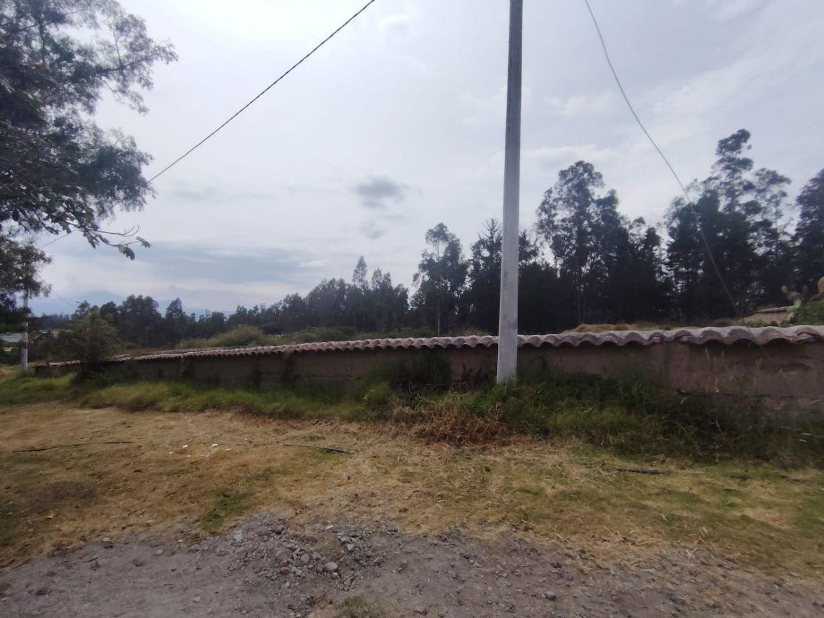 Vendo Terreno Sector Quinche - La Esperanza — imagen 4