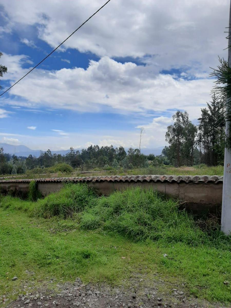 Vendo Terreno Sector Quinche - La Esperanza — imagen 3
