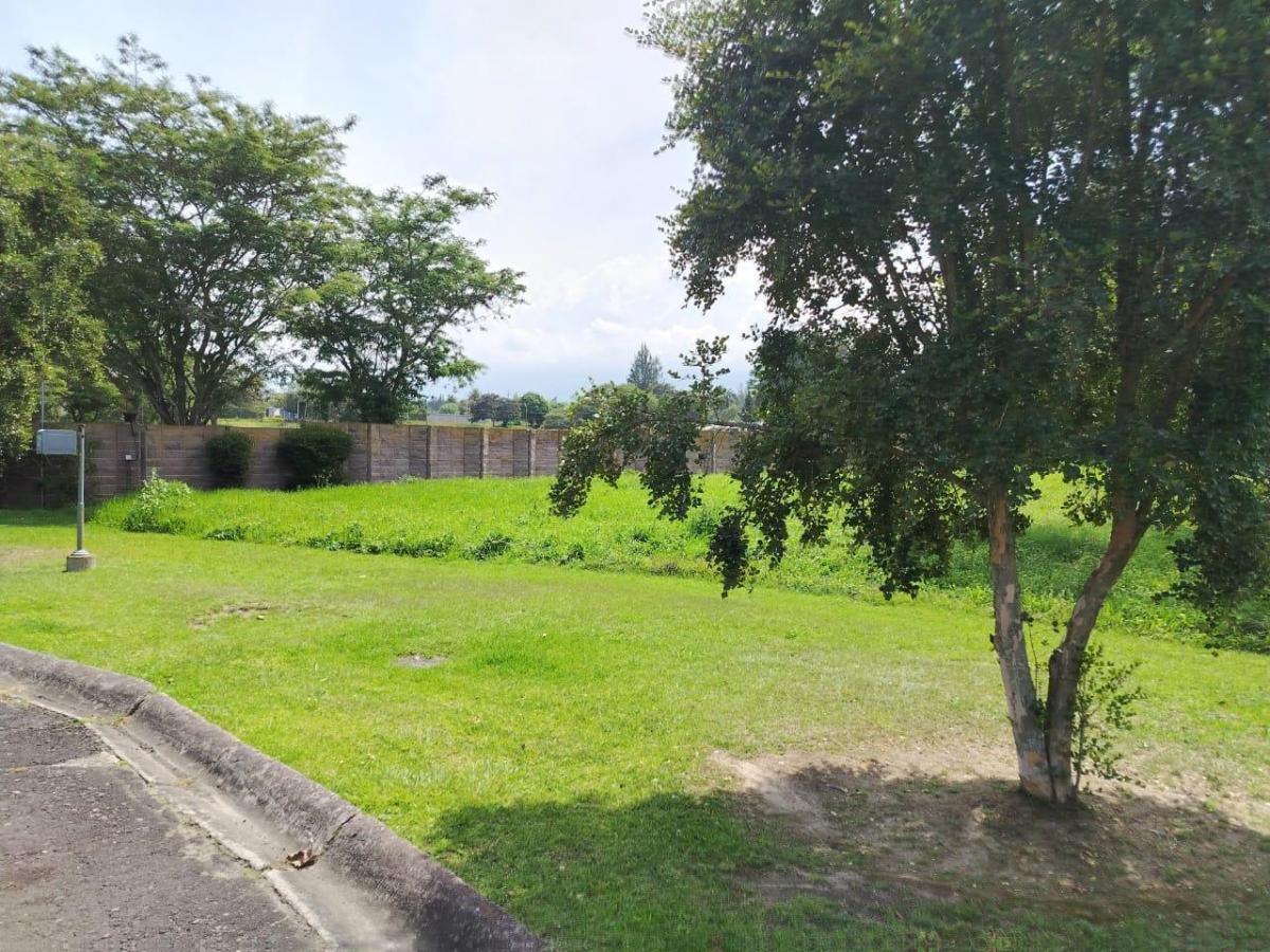 Terreno en Puembo — imagen 8