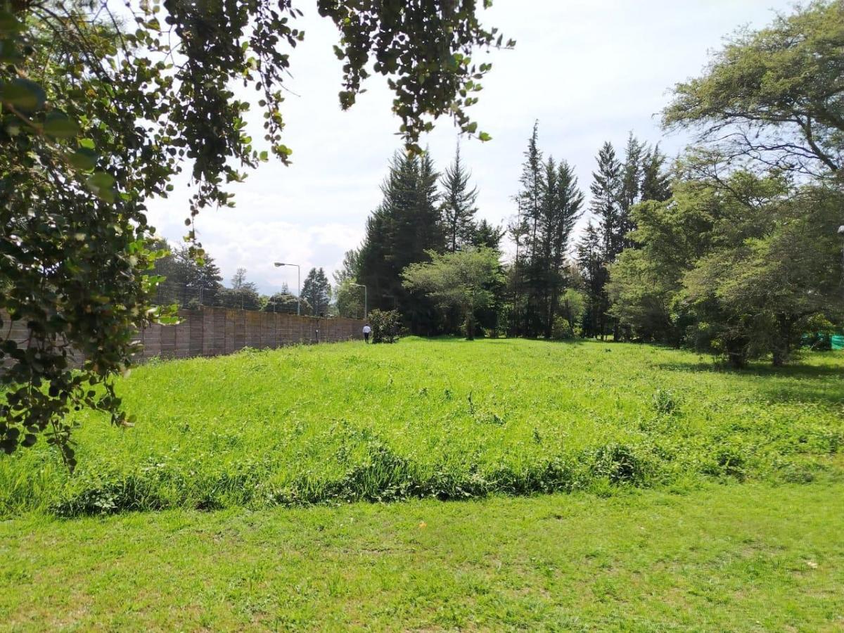 Terreno en Puembo — imagen 7