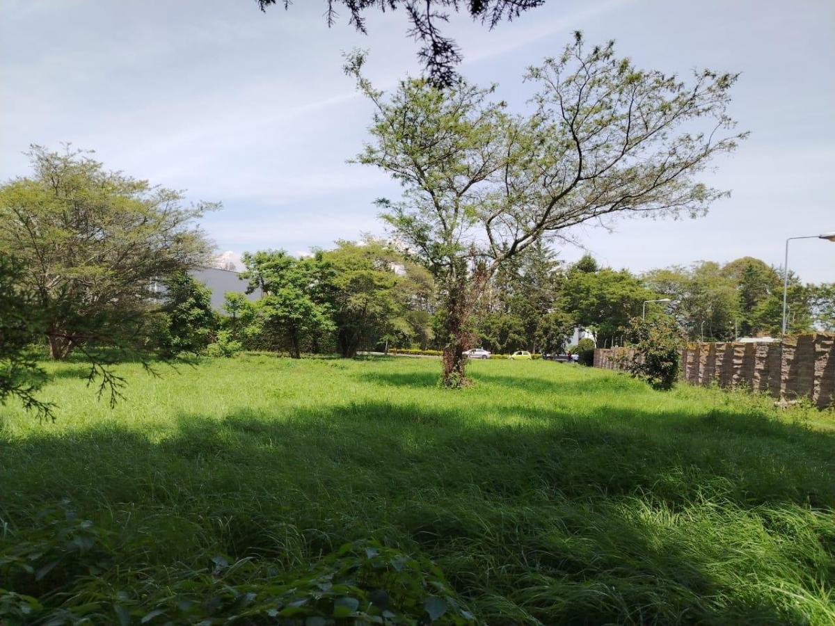 Terreno en Puembo — imagen 6