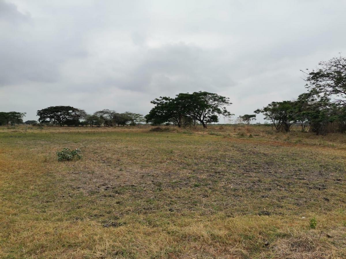 Terreno de Venta en El Buijo, Samborondón, 1131 m². Guayas — imagen 10