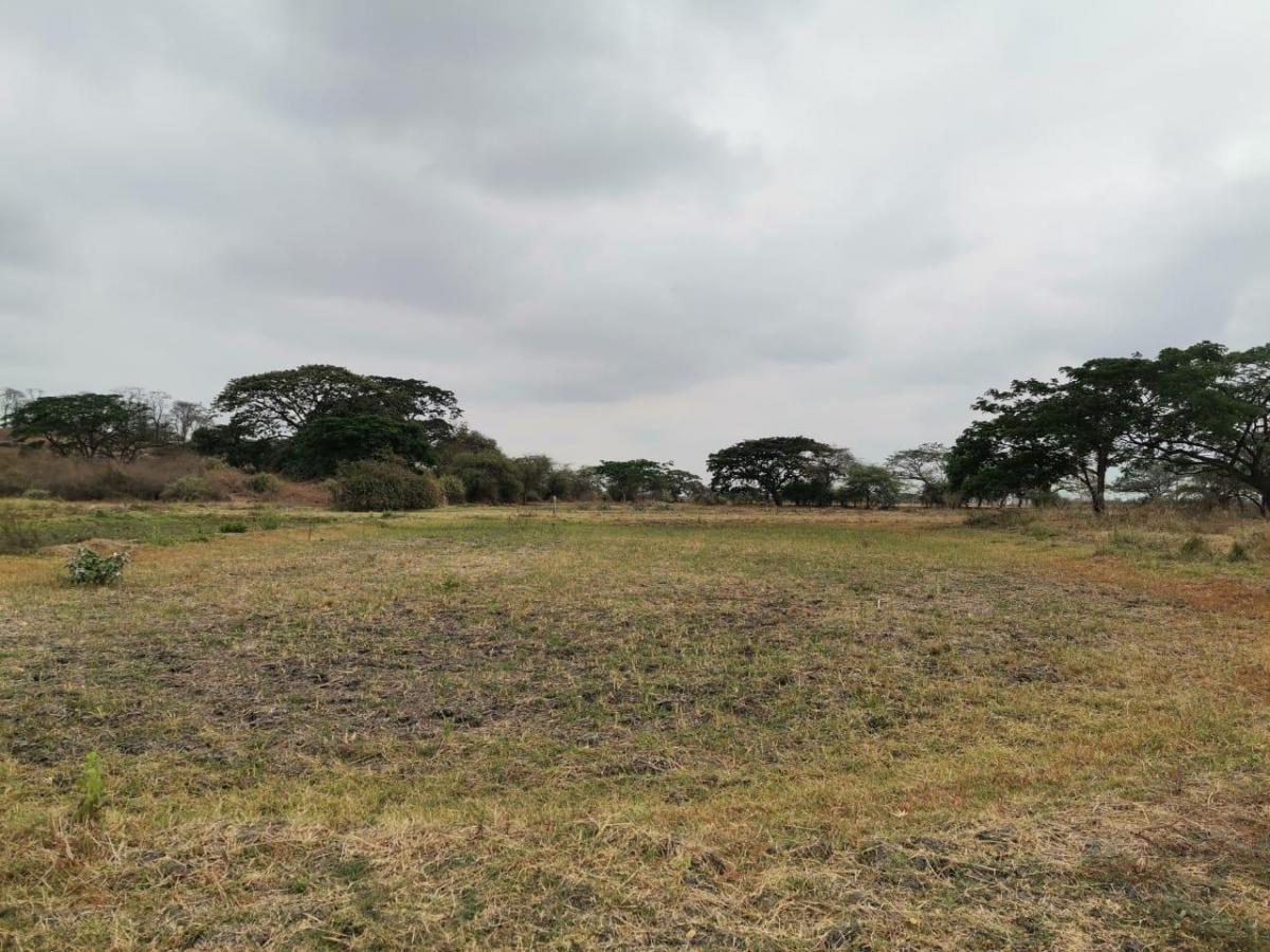 Terreno de Venta en El Buijo, Samborondón, 1131 m². Guayas — imagen 9