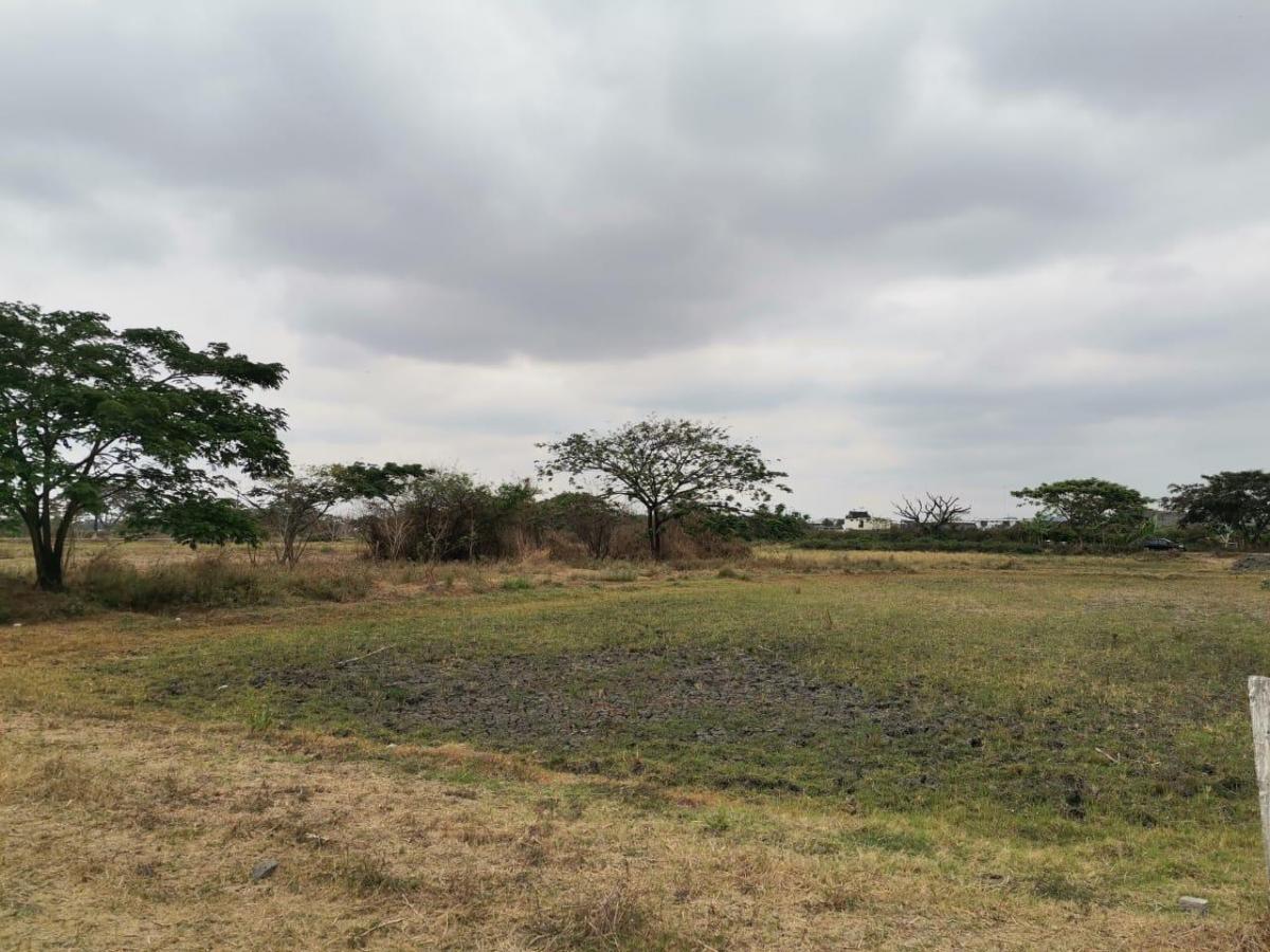 Terreno de Venta en El Buijo, Samborondón, 1131 m². Guayas — imagen 8