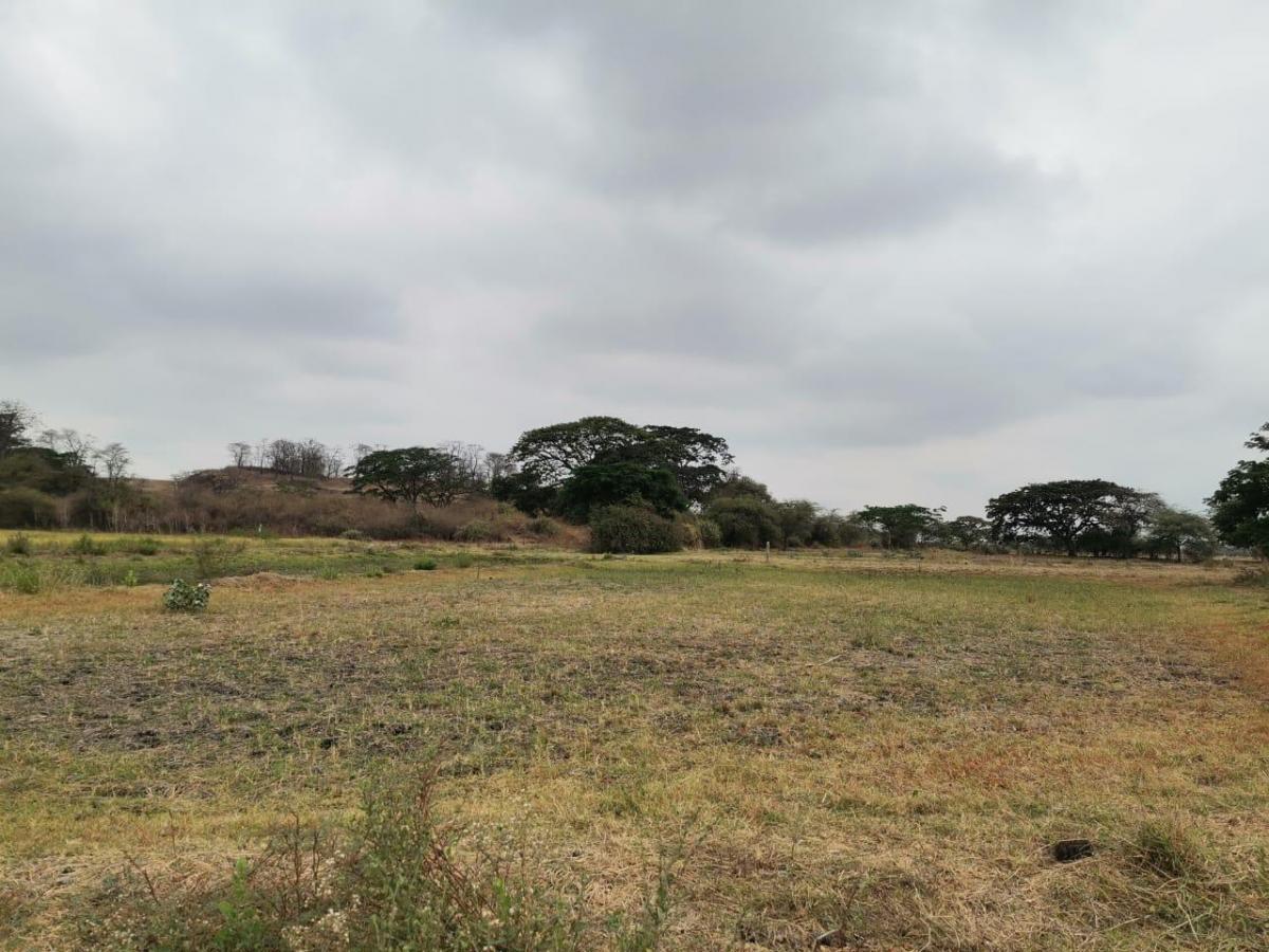 Terreno de Venta en El Buijo, Samborondón, 1131 m². Guayas — imagen 6