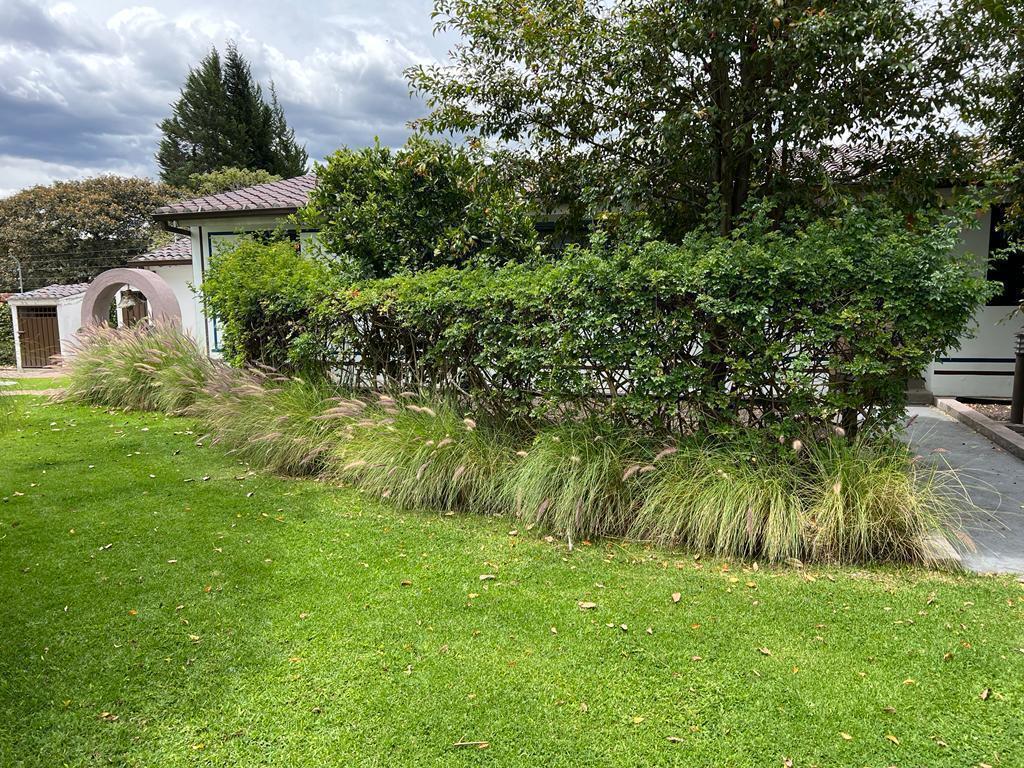 Vendo Excelente Terreno Tumbaco — imagen 10