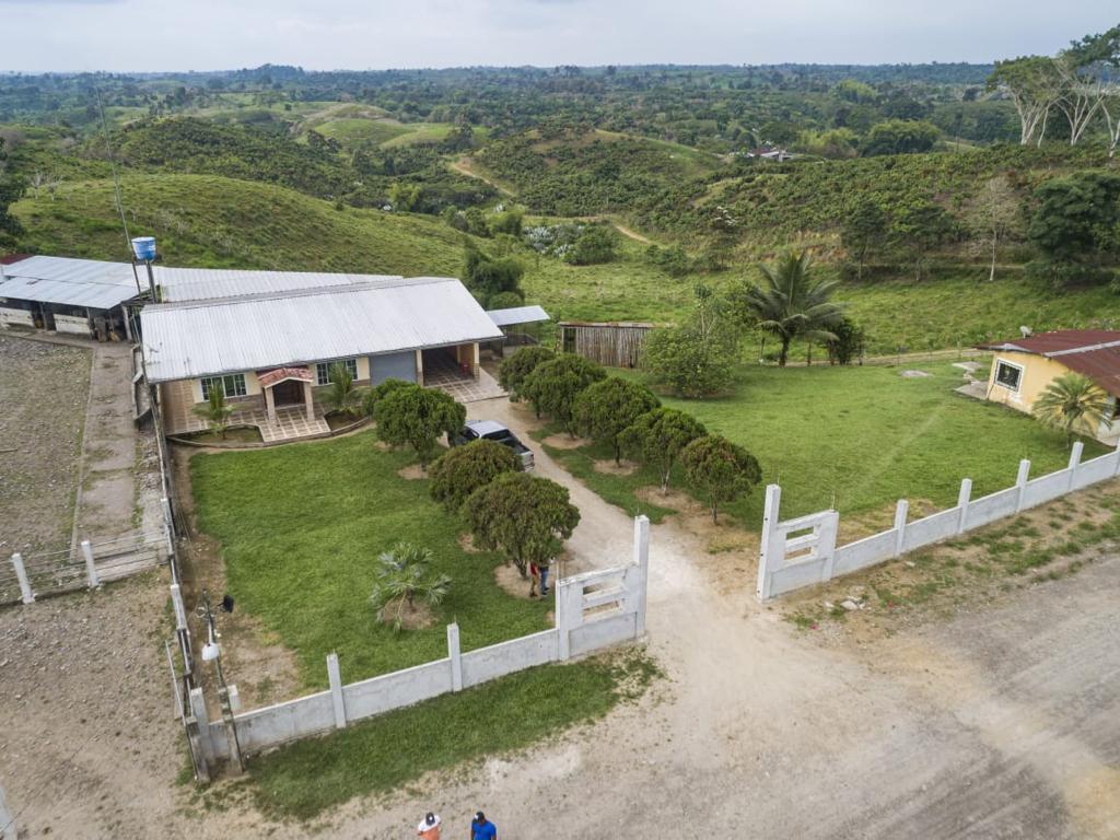 Se Vende Finca Ganadera de 190 Has en La Concordia — imagen 9
