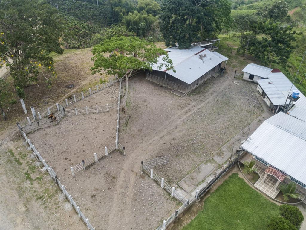 Se Vende Finca Ganadera de 190 Has en La Concordia — imagen 7