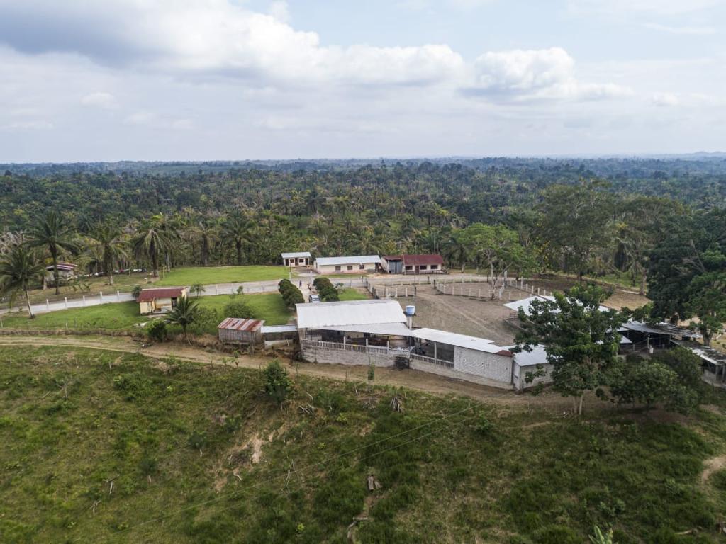 Se Vende Finca Ganadera de 190 Has en La Concordia — imagen 6
