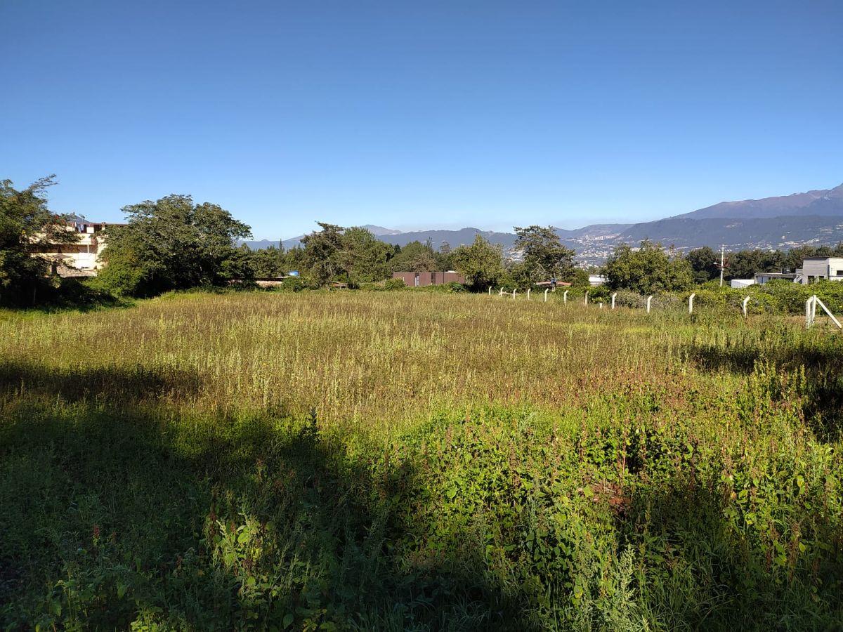Ideal Constructores, Puembo en Venta Terreno de 3.309,16 m², Sector Mangahuantag — imagen 5