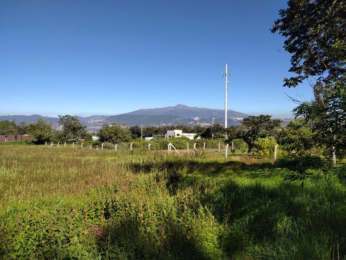 Ideal Constructores, Puembo en Venta Terreno de 3.309,16 m², Sector Mangahuantag — imagen 4