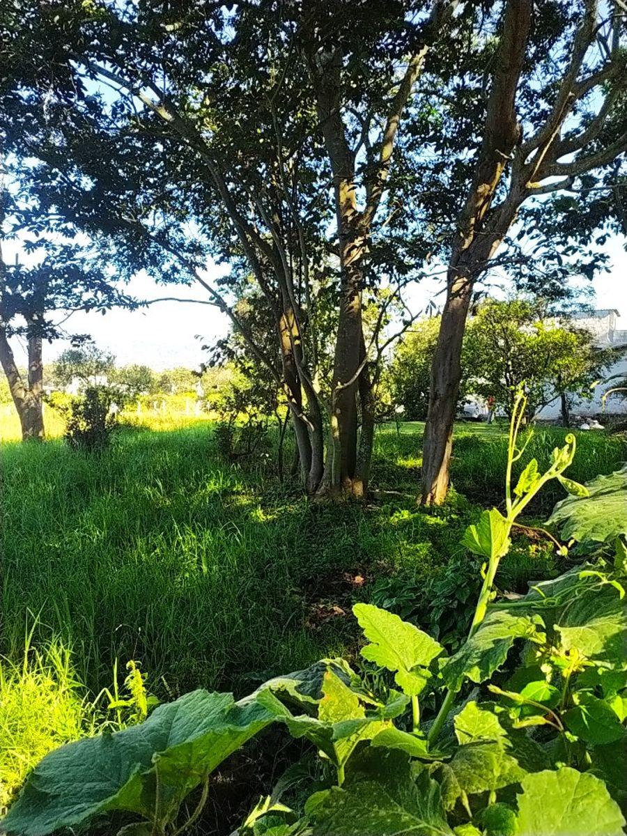 Ideal Constructores, Puembo en Venta Terreno de 3.309,16 m², Sector Mangahuantag — imagen 3