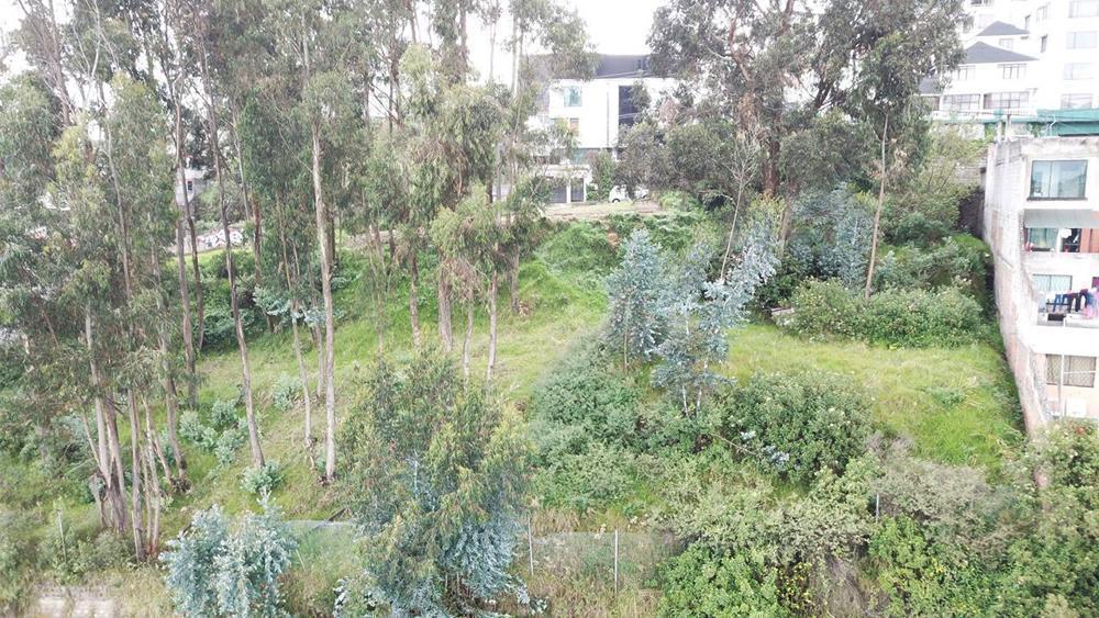 Venta de Terreno Unión Nacional 668 m² Independiente El Bosque - Occidental — imagen 8