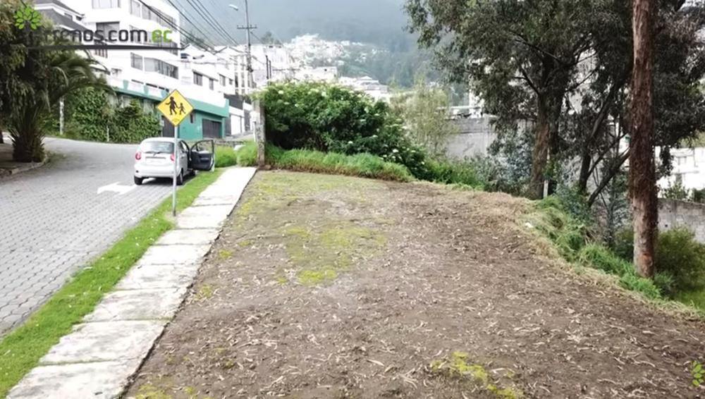 Venta de Terreno Unión Nacional 668 m² Independiente El Bosque - Occidental — imagen 7