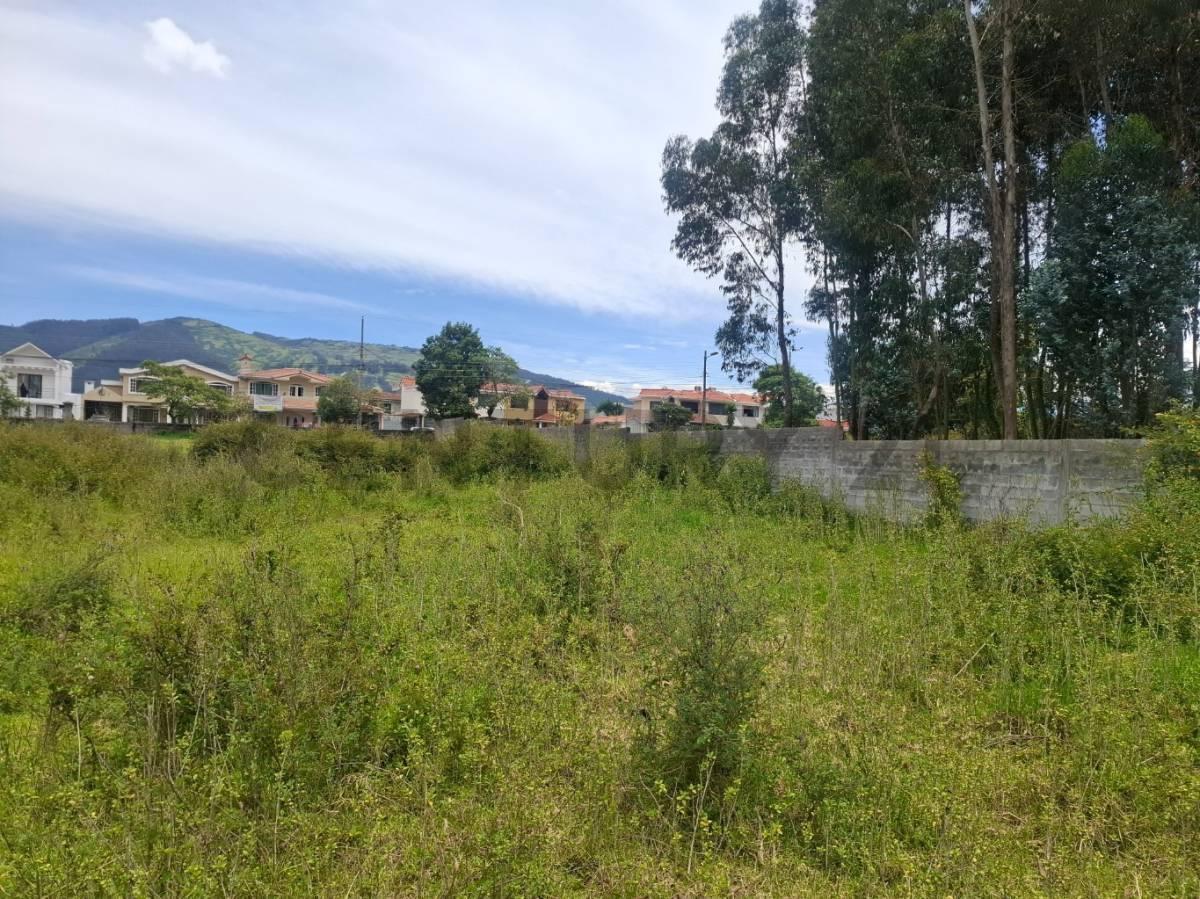Terreno de Venta Sector La Espe — imagen 4