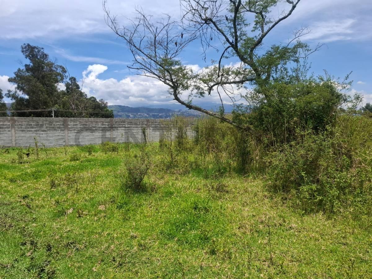 Terreno de Venta Sector La Espe — imagen 3
