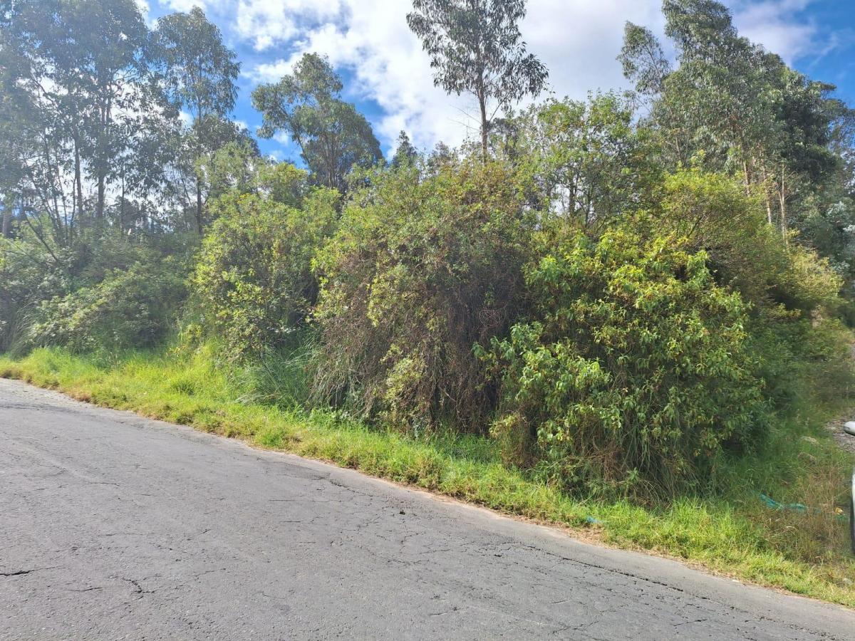 Venta Terreno Industrial Conocoto 5000 m² — imagen 3