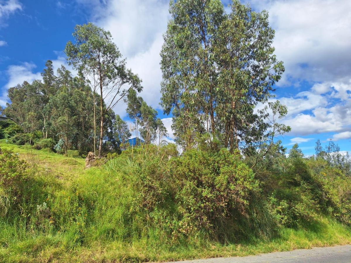 Venta Terreno Industrial Conocoto 5000 m² — imagen 2