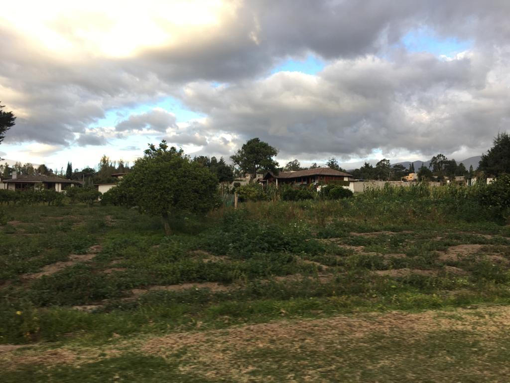 Venta Terrenos Puembo Exclusiva Urbanización Familiar — imagen 8