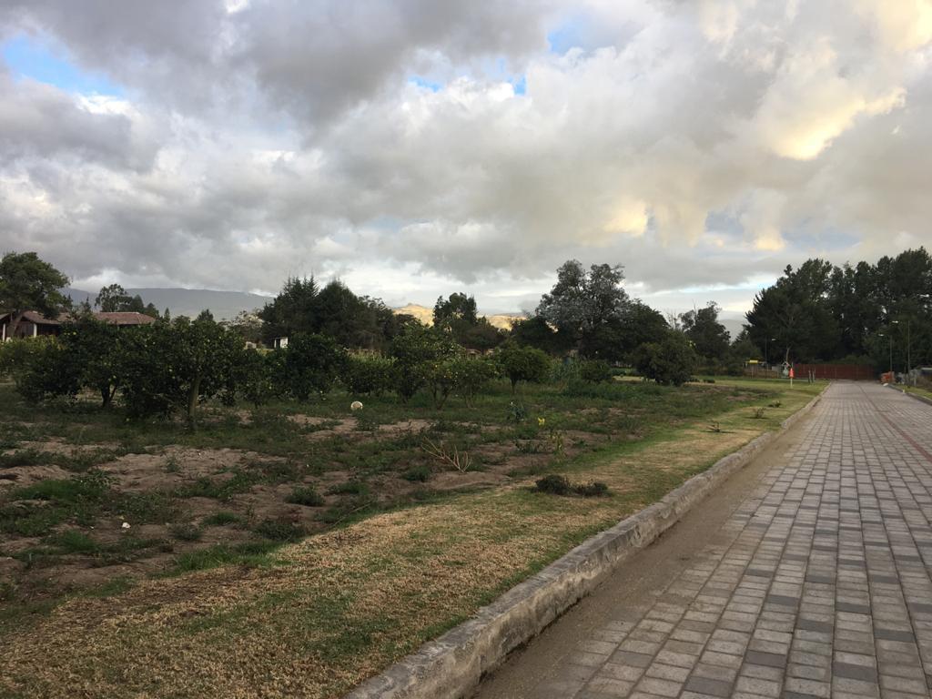 Venta Terrenos Puembo Exclusiva Urbanización Familiar — imagen 6