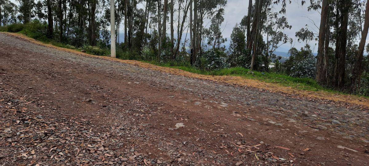 Vendo Lindos Terrenos de 5367 m y 6367 m con Excelente Vista en Pifo — imagen 9
