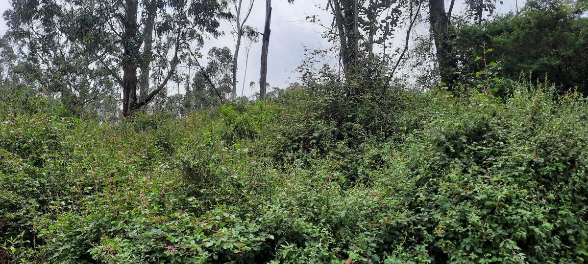 Vendo Lindos Terrenos de 5367 m y 6367 m con Excelente Vista en Pifo — imagen 8
