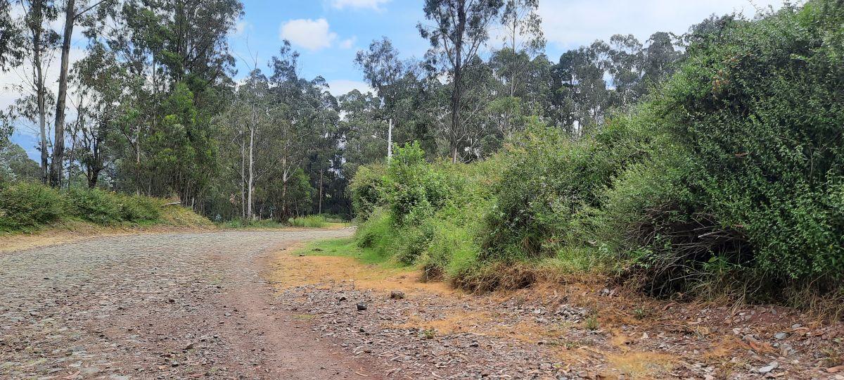 Vendo Lindos Terrenos de 5367 m y 6367 m con Excelente Vista en Pifo — imagen 6