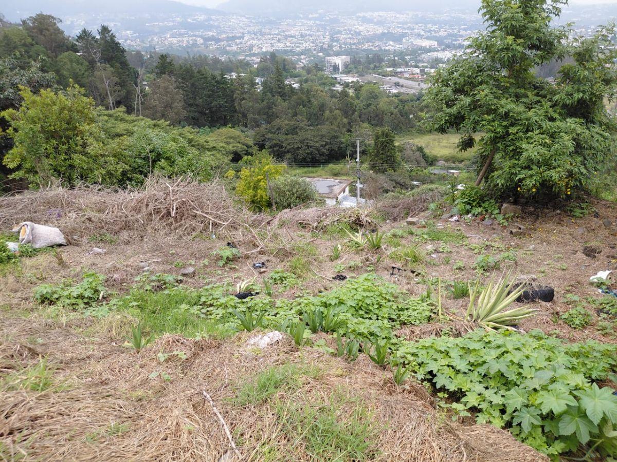 Terreno en Venta en Tumbaco Sector Comuna Central 680 m² con Escritura — imagen 10