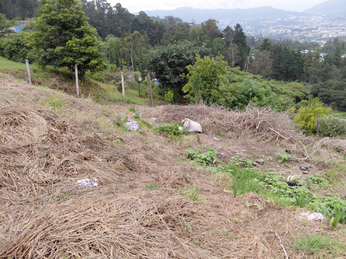 Terreno en Venta en Tumbaco Sector Comuna Central 680 m² con Escritura — imagen 8