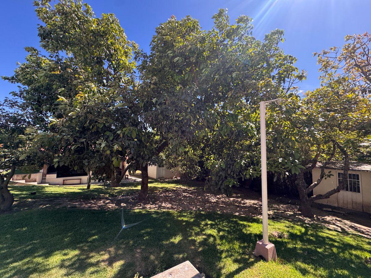 Hermosa Propiedad en Venta - Tumbaco - 1.775 m² - Ideal Para Construir o Tu Casa de Campo — imagen 8