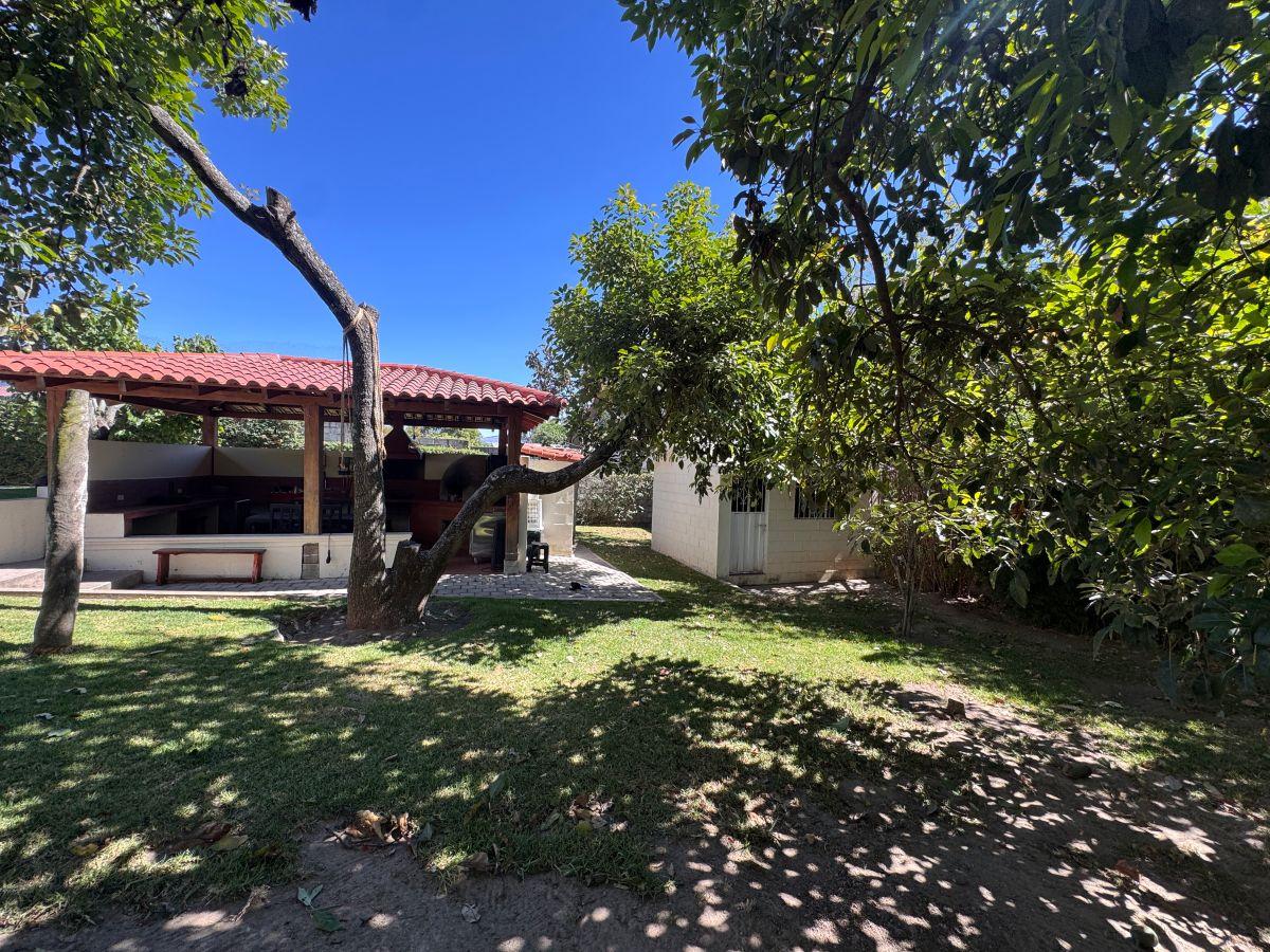 Hermosa Propiedad en Venta - Tumbaco - 1.775 m² - Ideal Para Construir o Tu Casa de Campo — imagen 7
