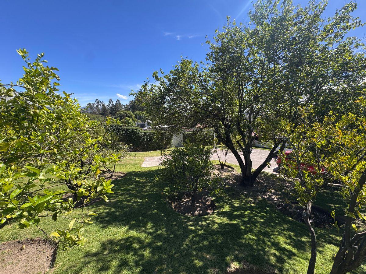 Hermosa Propiedad en Venta - Tumbaco - 1.775 m² - Ideal Para Construir o Tu Casa de Campo — imagen 2