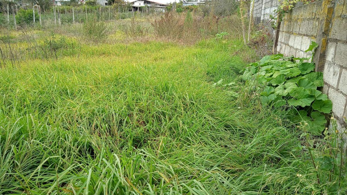 Venta Lotes de Terreno Garcia Moreno Canton Pelileo Tungurahua, Tungurahua — imagen 4
