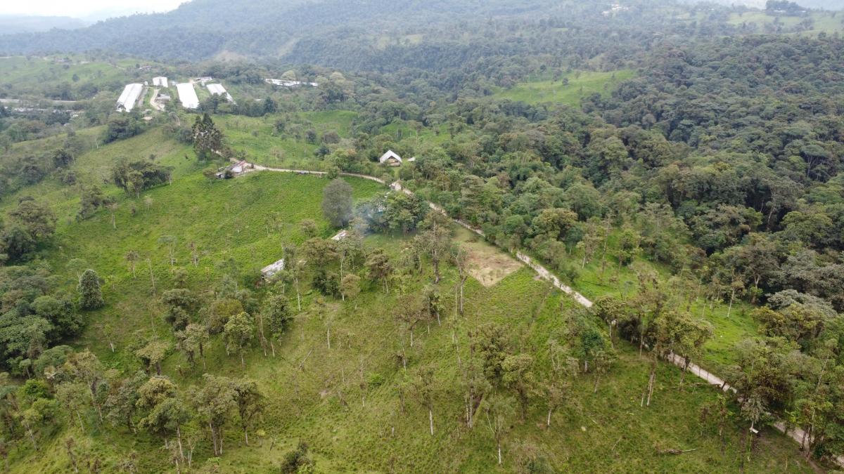 Finca Ganadera de Venta en Los Bancos — imagen 7