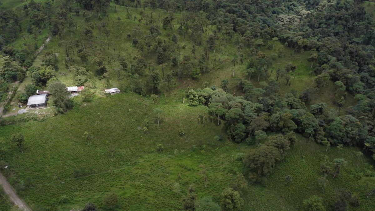 Finca Ganadera de Venta en Los Bancos — imagen 2