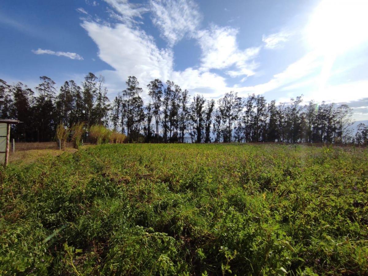 Lote Terreno de Venta a 10 Minutos de Guayllabamba, 2.5 Hectáreas — imagen 7
