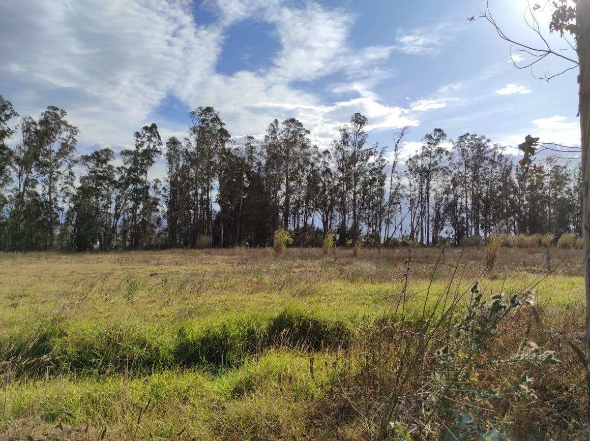 Lote Terreno de Venta a 10 Minutos de Guayllabamba, 2.5 Hectáreas — imagen 6